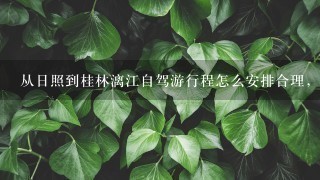 从日照到桂林漓江自驾游行程怎么安排合理，1个人开车中间在哪休息，沿途有什么景点？请熟悉的大神们告知