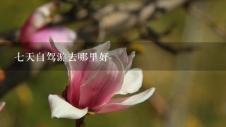 7天自驾游去哪里好