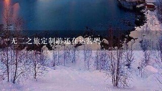 无2之旅定制游还在运营吗