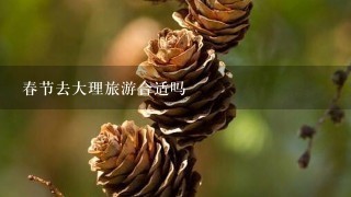 春节去大理旅游合适吗