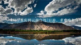 7．8月份重庆到云南自驾7日游，求攻略和自驾游路线(最好带各景点门票