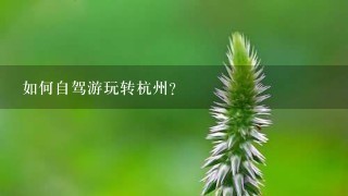 如何自驾游玩转杭州？