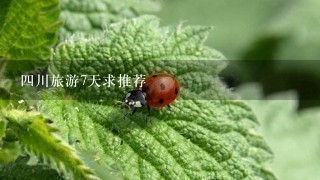 4川旅游7天求推荐