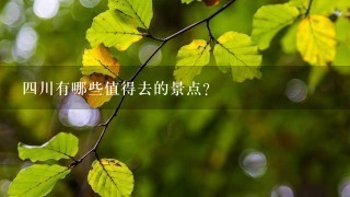 4川有哪些值得去的景点？