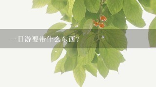 1日游要带什么东西?