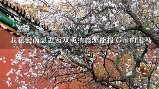 我在云南想去西双版纳旅游能报郑州的团吗