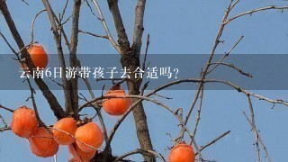 云南6日游带孩子去合适吗？