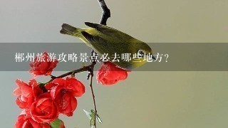 郴州旅游攻略景点必去哪些地方？