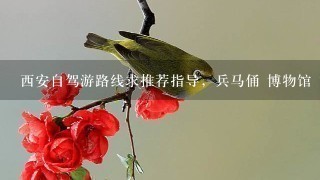 西安自驾游路线求推荐指导，兵马俑 博物馆 古城墙 大唐芙蓉园 大雁塔