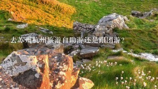 去苏州杭州旅游自助游还是跟团游？