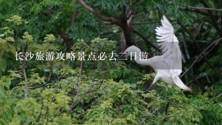 长沙旅游攻略景点必去2日游