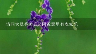 请问大足香国公园附近那里有农家乐