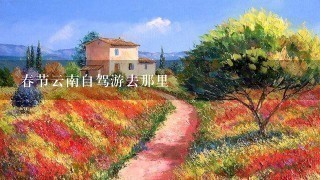 春节云南自驾游去那里