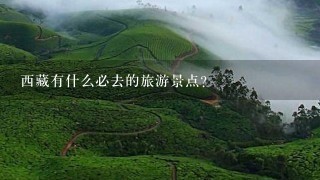 西藏有什么必去的旅游景点？