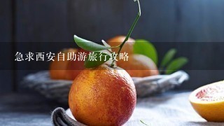 急求西安自助游旅行攻略