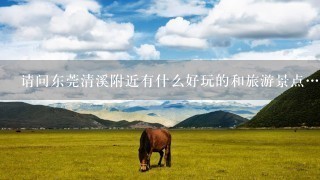 请问东莞清溪附近有什么好玩的和旅游景点…