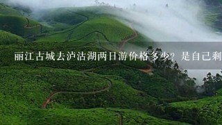 丽江古城去泸沽湖两日游价格多少？是自己剩车去划算还是跟团呢？