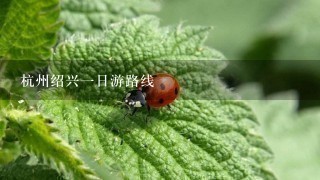 杭州绍兴1日游路线