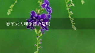 春节去大理旅游合适吗