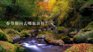 春节期间去哪旅游好？