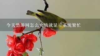 今天悠游网怎么充值就显示系统繁忙