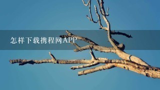 怎样下载携程网APP