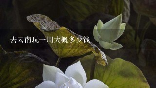 去云南玩1周大概多少钱