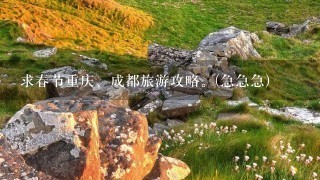 求春节重庆、成都旅游攻略。(急急急)