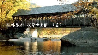 桂林旅游 攻略+住宿 （急）