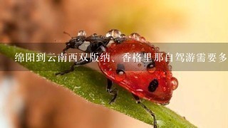 绵阳到云南西双版纳、香格里那自驾游需要多少天