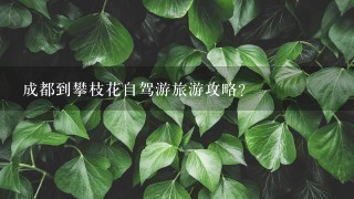 成都到攀枝花自驾游旅游攻略？