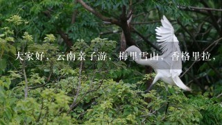 大家好，云南亲子游，梅里雪山，香格里拉，泸沽湖，丽江，如何安排行程？谢谢