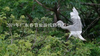 2019年广东春节旅游线路推荐？