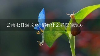 云南7日游攻略 都有什么好玩的地方