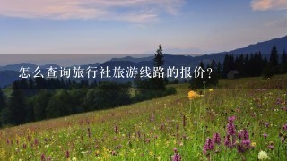 怎么查询旅行社旅游线路的报价？