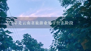 2022年是云南省旅游业处于什么阶段