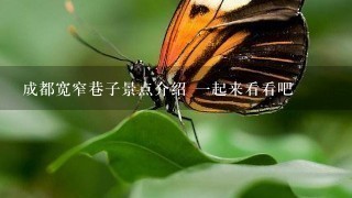 成都宽窄巷子景点介绍 1起来看看吧