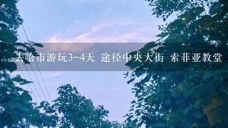 去哈市游玩3-4天 途径中央大街 索菲亚教堂 太阳岛 龙塔 游乐园，极地馆，怎样安排节省时间，有经济实惠