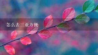 怎么去3亚方便