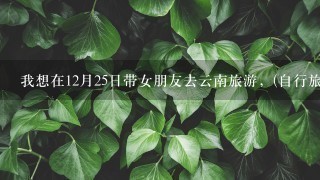 我想在12月25日带女朋友去云南旅游，(自行旅)请大家介绍1下重要景点和住宿及用餐地点和花费，谢谢大家