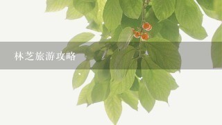 林芝旅游攻略