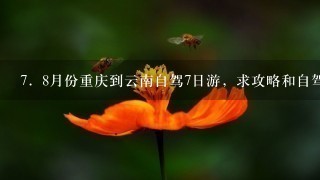 7．8月份重庆到云南自驾7日游，求攻略和自驾游路线(最好带各景点门票