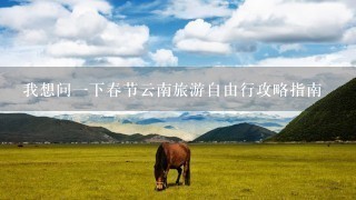 我想问1下春节云南旅游自由行攻略指南