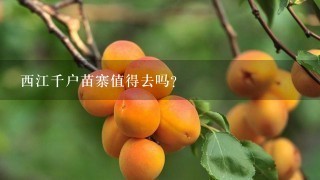 西江千户苗寨值得去吗？