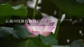 云南10日游线路设计~~~~~~~~~~~~~~~~~~~~