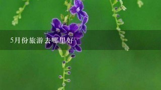 5月份旅游去哪里好