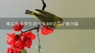 难忘的小学生活作文400字6年级10篇