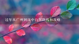 过年从广州到汉中自驾路线和攻略