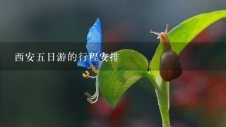 西安5日游的行程安排