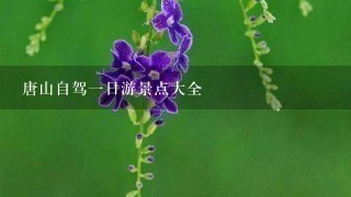 唐山自驾1日游景点大全